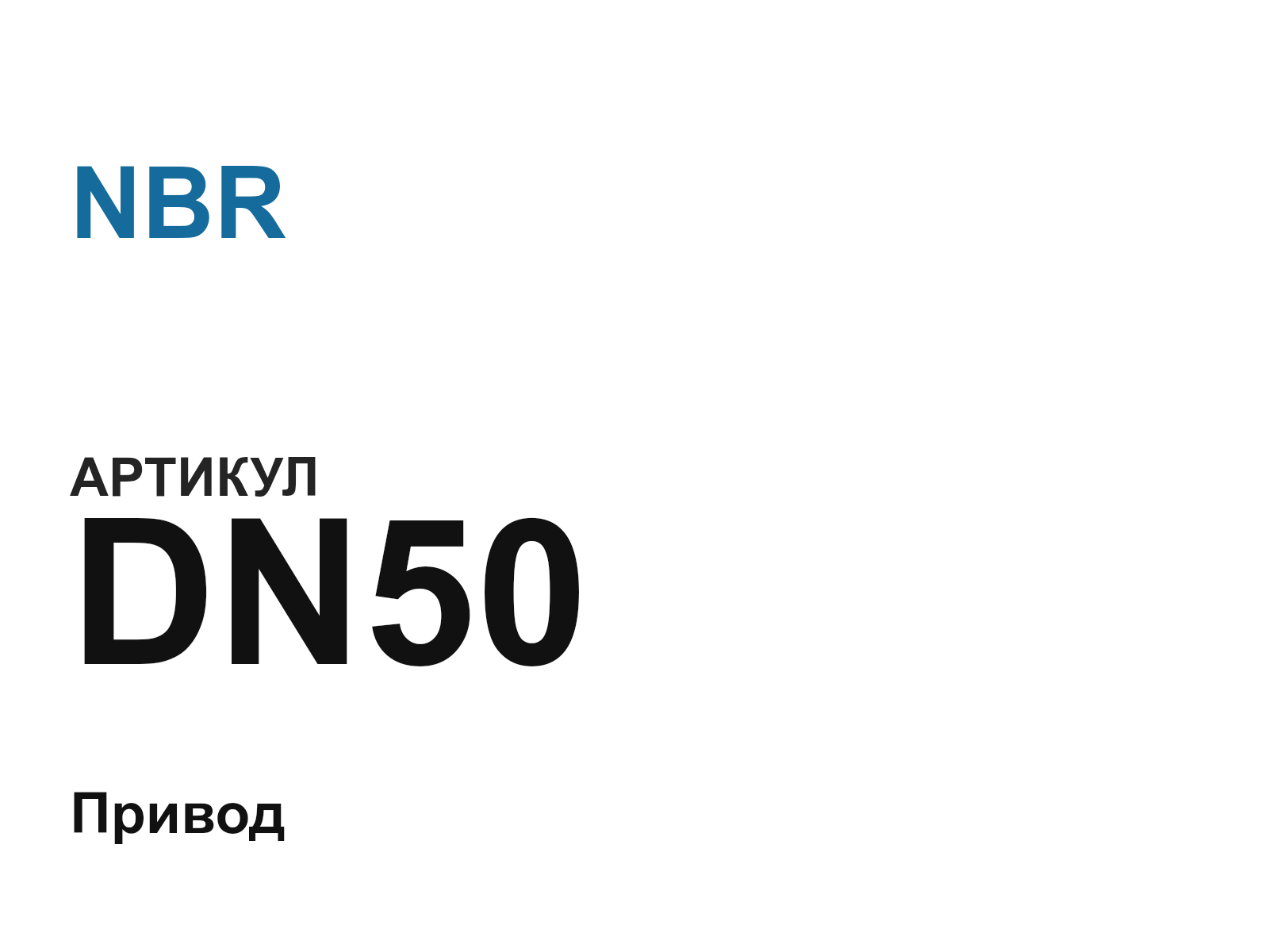 NBR DN50-D2 (DN50D2)