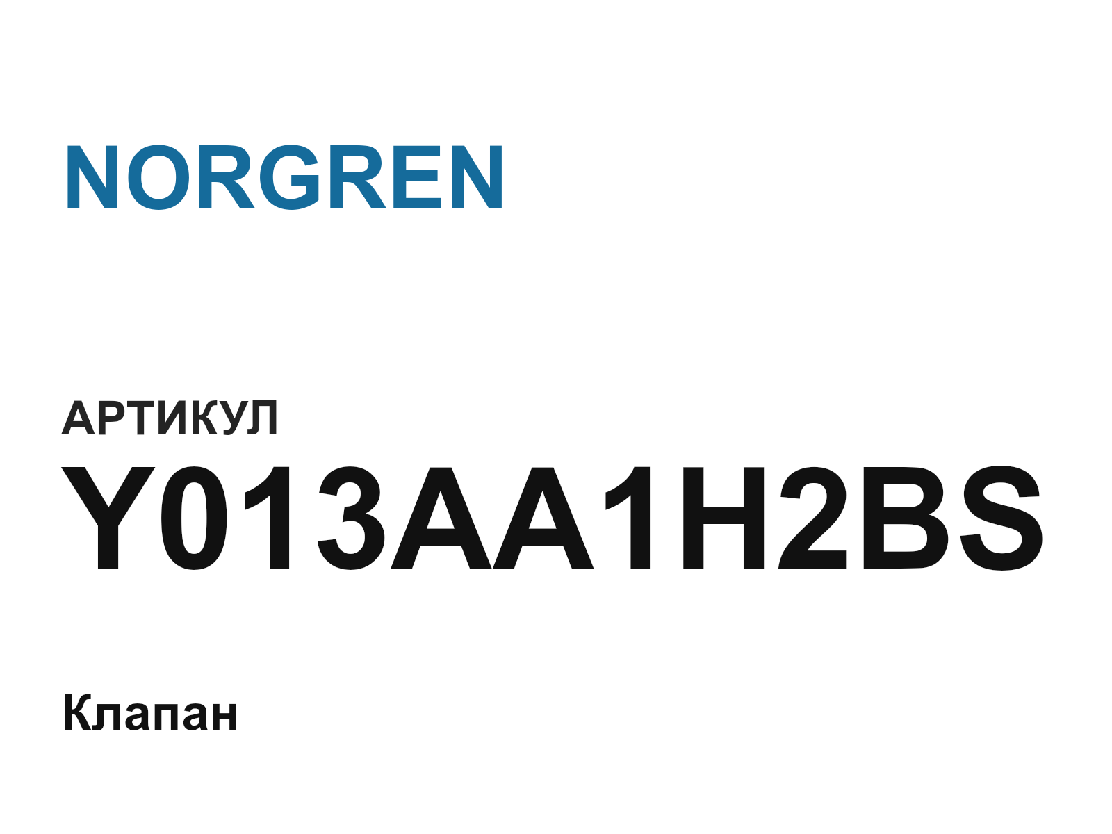 NORGREN Y013AA1H2BS (Y013AA1H2BS)