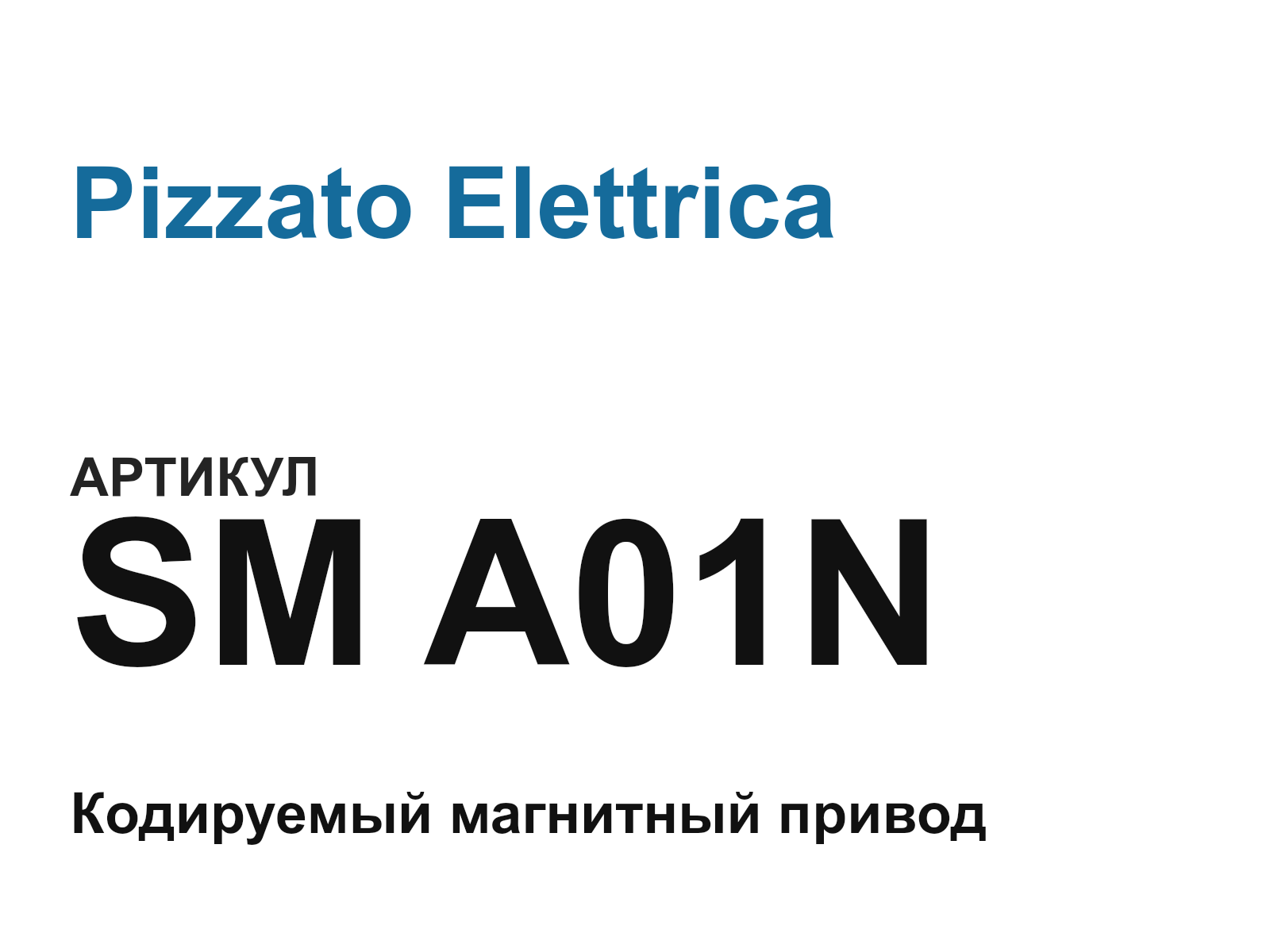 Pizzato Elettrica SM-A01N (SMA01N)