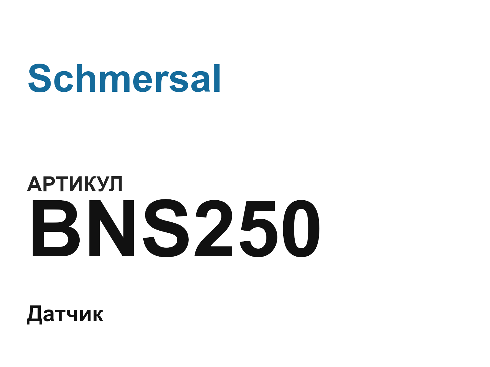 Schmersal BNS250 (BNS250)