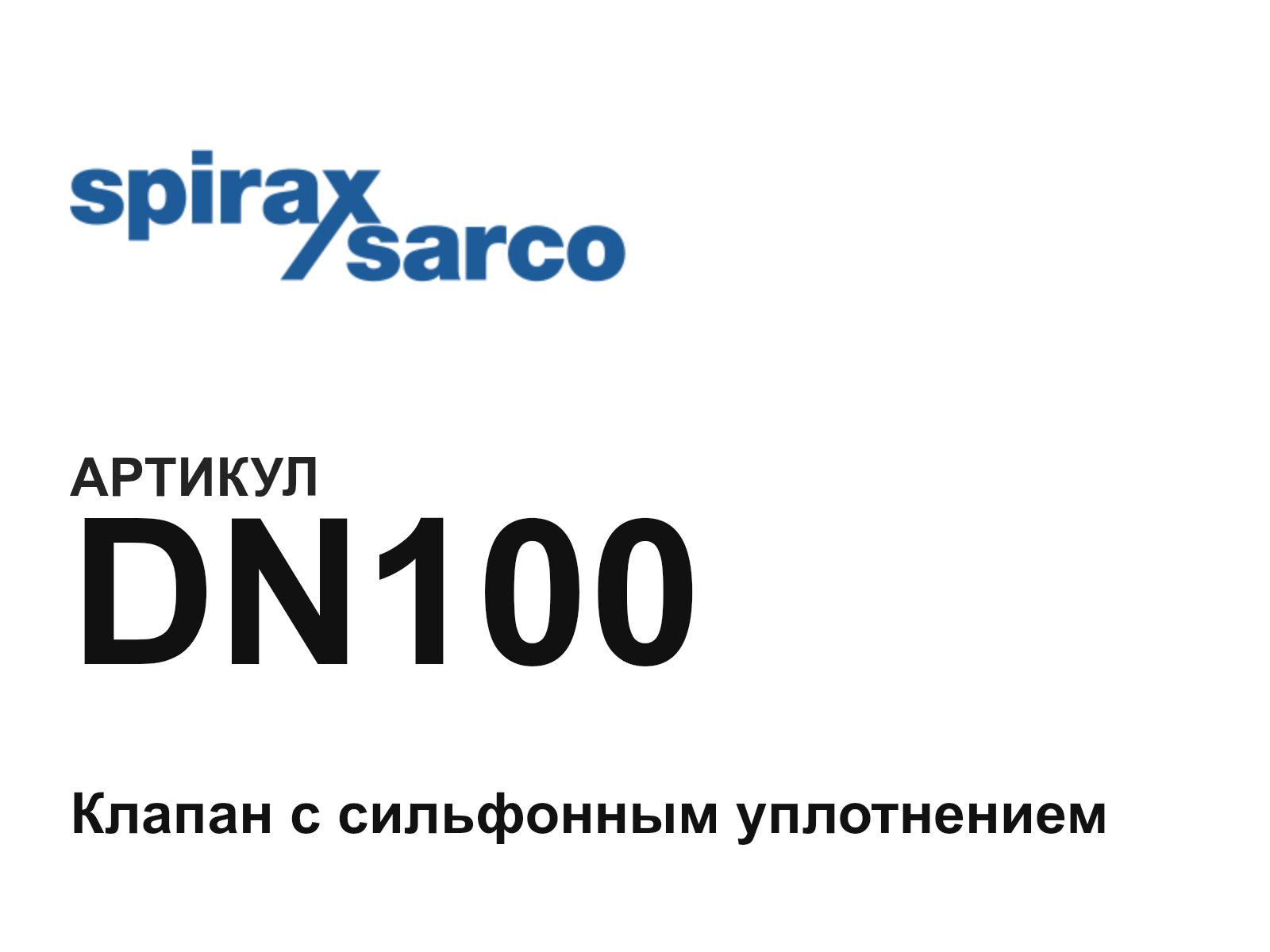Spirax Sarco DN100-D3 (DN100D3)