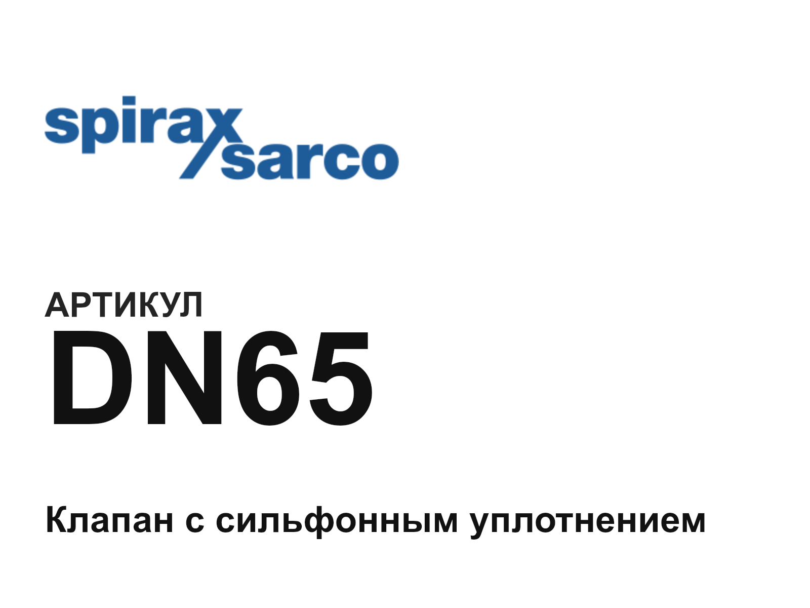 Spirax Sarco DN65-D2 (DN65D2)