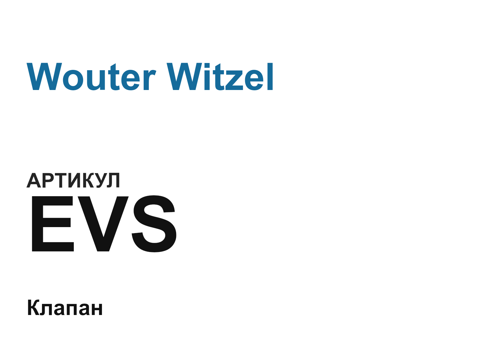 Wouter Witzel EVS (EVS)